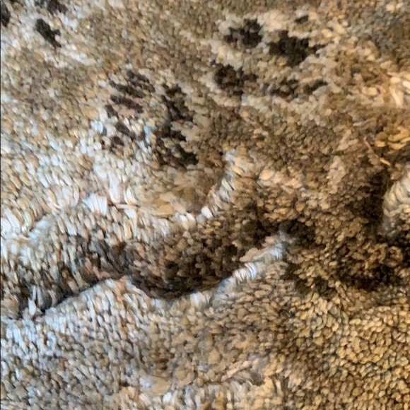 Meet your Posher, Jose - Picture 1 of 1